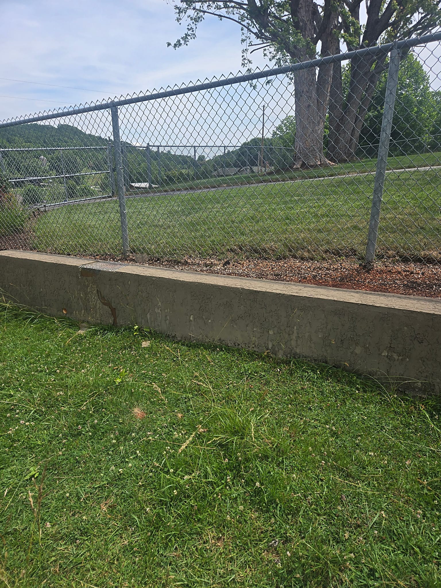 Fence line and curb after cleaning